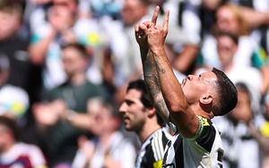 Thắng Chelsea, Newcastle tiến gần suất dự Champions League