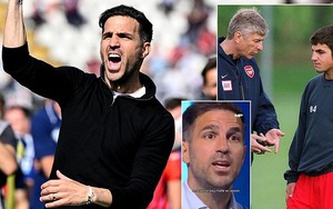 Fabregas được khen là 'đứa con thực thụ của Wenger' với màn phân tích xuất sắc trên truyền hình