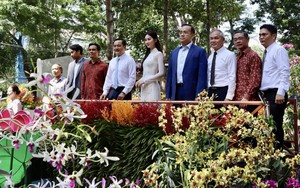 Khai mạc Festival hoa lan TP HCM 2025