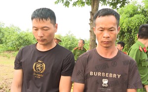 Khởi tố 2 đối tượng người nước ngoài xâm phạm mộ vua Lê Túc Tông