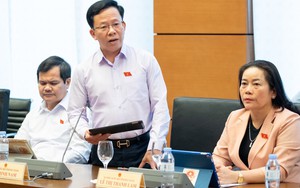 Nhiều đại biểu Quốc hội đồng tình giảm thuế VAT với tất cả hàng hóa