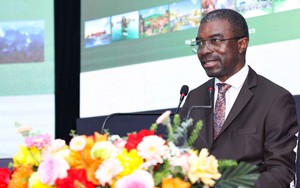 Phát huy giá trị di tích, đảm bảo hiệu quả trong công tác bảo tồn di sản