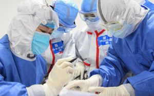 Trung Quốc biến Hải Nam thành "đặc khu" thử nghiệm vắc-xin ung thư tiên tiến