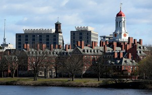 Đại học Harvard và "Giấc mơ chông chênh"