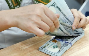 Tỷ giá hôm nay 28/5: Giá USD chững lại trong khi NDT tiếp tục giảm