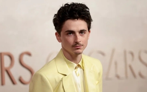 Timothée Chalamet được vinh danh tại giải "Oscar của điện ảnh Ý"