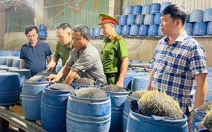 Khởi tố 3 bị can sản xuất giá đỗ bằng hóa chất độc hại