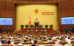 Thủ tướng chỉ định Chủ tịch, Phó Chủ tịch HĐND, UBND khi kiện toàn bộ máy