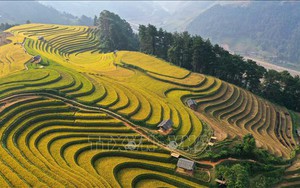 Hà Giang: Khi văn hóa chuyển mình thành nội lực kinh tế