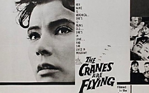 "Khi đàn sếu bay qua" - Bản tình ca lãng mạn giữa lửa đạn chiến tranh