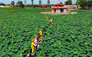 Hải Dương: Lan tỏa nét văn hóa “Trà sen Kiếp Bạc”