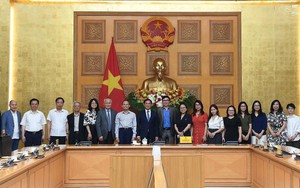 Phó Thủ tướng Bùi Thanh Sơn tiếp chuyên gia, nhà khoa học Tổ chức Khoa học và Chuyên gia Việt Nam toàn cầu