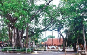 Hà Nội xếp hạng 9 di tích lịch sử - văn hóa và danh lam thắng cảnh