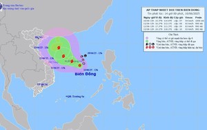 Các tỉnh, thành phố từ Quảng Ninh đến Khánh Hoà chủ động ứng phó với áp thấp nhiệt đới
