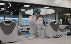 Đại sứ Trần Văn Tuấn: Việt Nam mong muốn đẩy mạnh hợp tác phát triển khoa học công nghệ với Thuỵ Điển