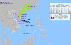 Dự báo thời tiết ngày 12/6: Vùng gần tâm bão gió mạnh cấp 8-9, giật cấp 11