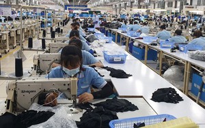 Việt Nam - Thụy Điển: Nhiều không gian phát triển thương mại