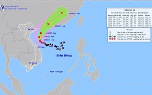 Dự báo thời tiết ngày 13/6: Bão liên tục đổi hướng, vùng gần tâm giật cấp 13