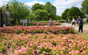 Khách Mỹ né du lịch châu Âu vào mùa hè năm nay