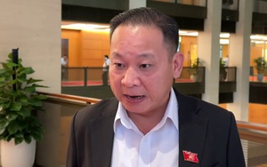 Cần có chế tài đủ mạnh để ngăn chặn hàng giả, có lộ trình cụ thể đối với thu thuế điện tử