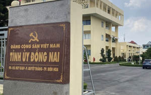 Đồng Nai: Vận hành thử nghiệm chính quyền 2 cấp từ ngày 13/6