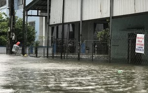 Hình ảnh Lũ sông Thạch Hãn gây ngập lụt trên diện rộng ở Quảng Trị