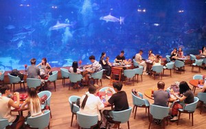 Xây dựng hình ảnh “Mỗi người dân Phú Quốc là một đại sứ du lịch”