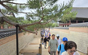 Lễ hội quốc tế đi bộ tham quan Cung điện Hoàng gia Seoul 2025