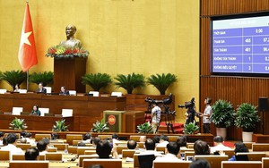 Sự kiện nổi bật tuần từ 9-14/6/2025