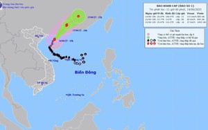 Tin bão khẩn cấp: Cơn bão số 1 cường độ cấp 10-11, giật cấp 13