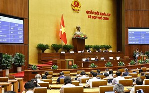 Sáng nay, Quốc hội sẽ biểu quyết về sửa đổi Hiến pháp