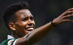 Nhận định, soi tỷ lệ Palmeiras vs Al Ahly 23h hôm nay ngày 19/6, FIFA Club World Cup