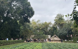 130 đơn vị hành chính cấp xã của tỉnh Nghệ An năm 2025