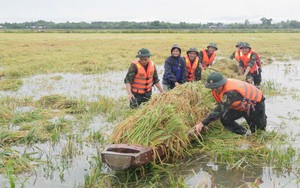 Thủ tướng chỉ đạo tăng cường phòng, chống thiên tai trước mùa mưa bão năm 2025