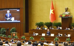 Không để đầu cơ, trục lợi giá nhà, đất sau sáp nhập tỉnh, thành