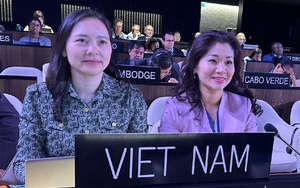 Việt Nam tái đắc cử thành viên Ủy ban liên chính phủ Công ước của UNESCO