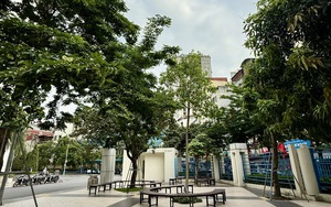 Dự báo thời tiết ngày 24/6: Hà Nội ngày nắng, chiều tối và đêm có mưa dông vài nơi