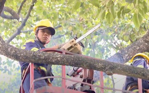 TP HCM lên phương án chống ngập lụt, cây đổ trong mùa mưa bão