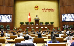 Quốc hội thống nhất rút ngắn thời gian thực hiện quy trình bầu cử