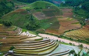 Lung linh ruộng bậc thang mùa nước đổ ở Mù Cang Chải