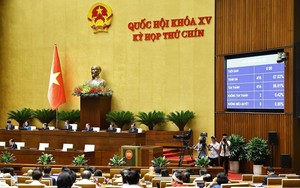 Kỳ họp thứ 9, Quốc hội khóa XV: Quốc hội xem xét công tác nhân sự