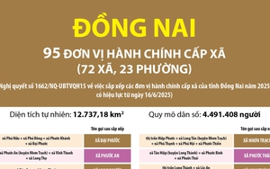 Thông tin chi tiết sắp xếp các đơn vị hành chính cấp xã của tỉnh Đồng Nai