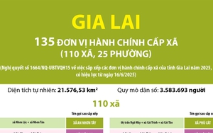 Thông tin chi tiết sắp xếp các đơn vị hành chính cấp xã của tỉnh Gia Lai