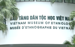 Ngày Gia đình Việt Nam: Trải nghiệm Phòng Khám phá tại Bảo tàng Dân tộc học