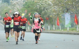 Chuyên đề 'Thể thao Việt Nam và thách thức Top 50 Olympic': Lối tắt – lối riêng 