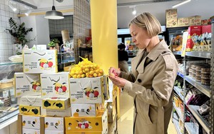 Vải thiều Việt Nam mùa 2025 "cập bến" thị trường Pháp