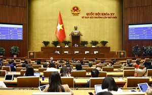 Nghị quyết chỉ định Trưởng Đoàn, Phó Trưởng Đoàn đại biểu Quốc hội