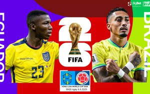 Nhận định, soi tỷ lệ Ecuador vs Brazil 6h00 ngày 6/6, VL World Cup 2026 khu vực Nam Mỹ 