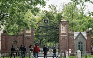 Tổng thống Mỹ ký sắc lệnh hạn chế cấp visa cho sinh viên quốc tế tới Harvard