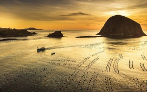 Việt Nam khẳng định cam kết bảo vệ đại dương trên trường quốc tế